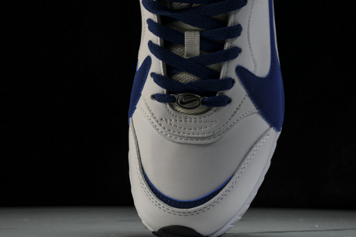 Air Jordan 5 Low "Alternate 95 "   102026 141