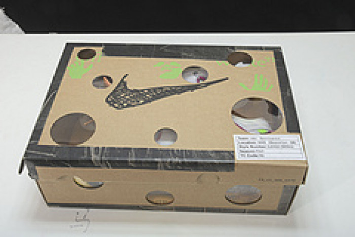 Nike Dunk Low OF Lot 35 DJ0950-114