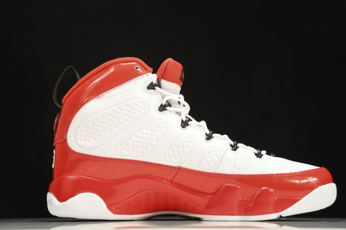 Air Jordan 9 302370-160
