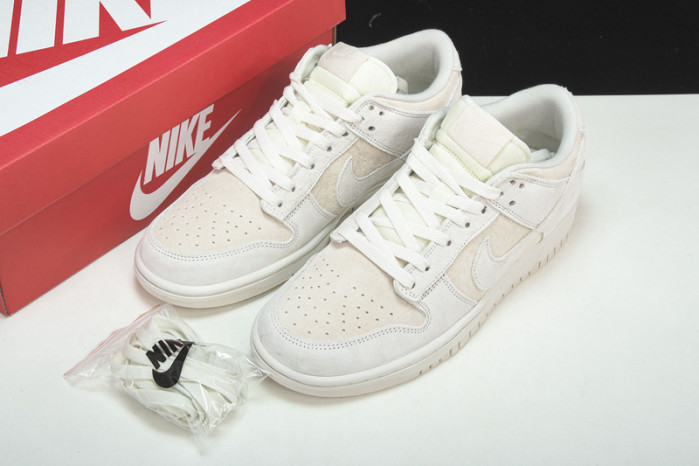 Nike Dunk Low Retro  Prm DD8338-001