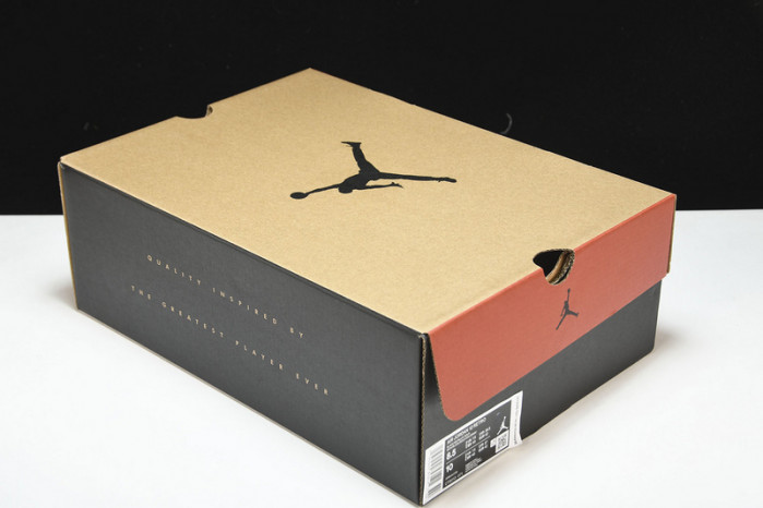 Air Jordan 12 “Black Taxi” CT8013-071