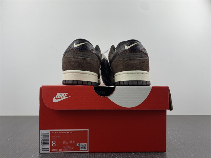 Nike Dunk Low Retro  DQ8801-200