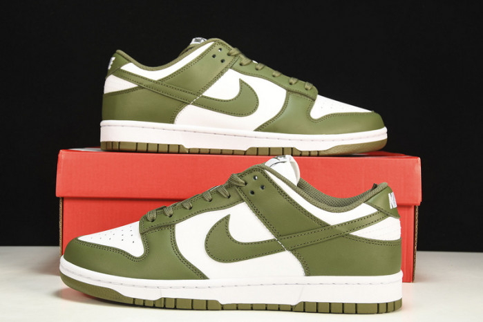 Nike Dunk Low Medium Olive DD1503-120