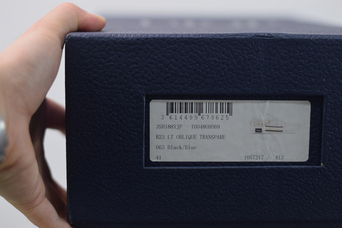 D10R B23 Oblique Low Top Sneakers L00N4